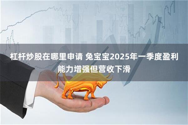 杠桿炒股在哪里申請 兔寶寶2025年一季度盈利能力增強但營(yíng)收下滑